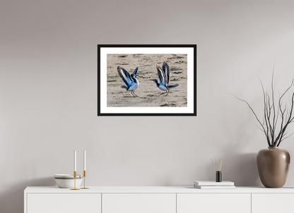 Dancing Sandpiper