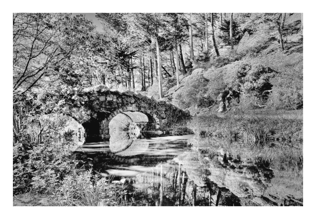 Stow Lake